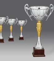 puchary, puchar 2335/1