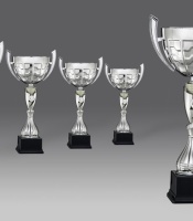 puchary, puchar 5319/1