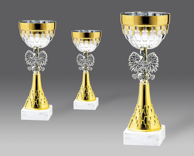  puchary statuetki medale